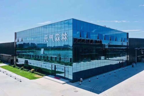 林氏木業 元氣森林,其實都是一類公司