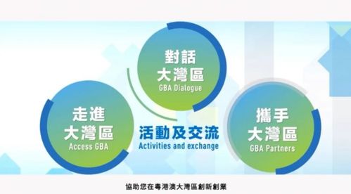 粵港澳大灣區(qū)青年創(chuàng)業(yè)線上交流會在穗舉行 聚焦信息技術(shù)咨詢服務發(fā)展